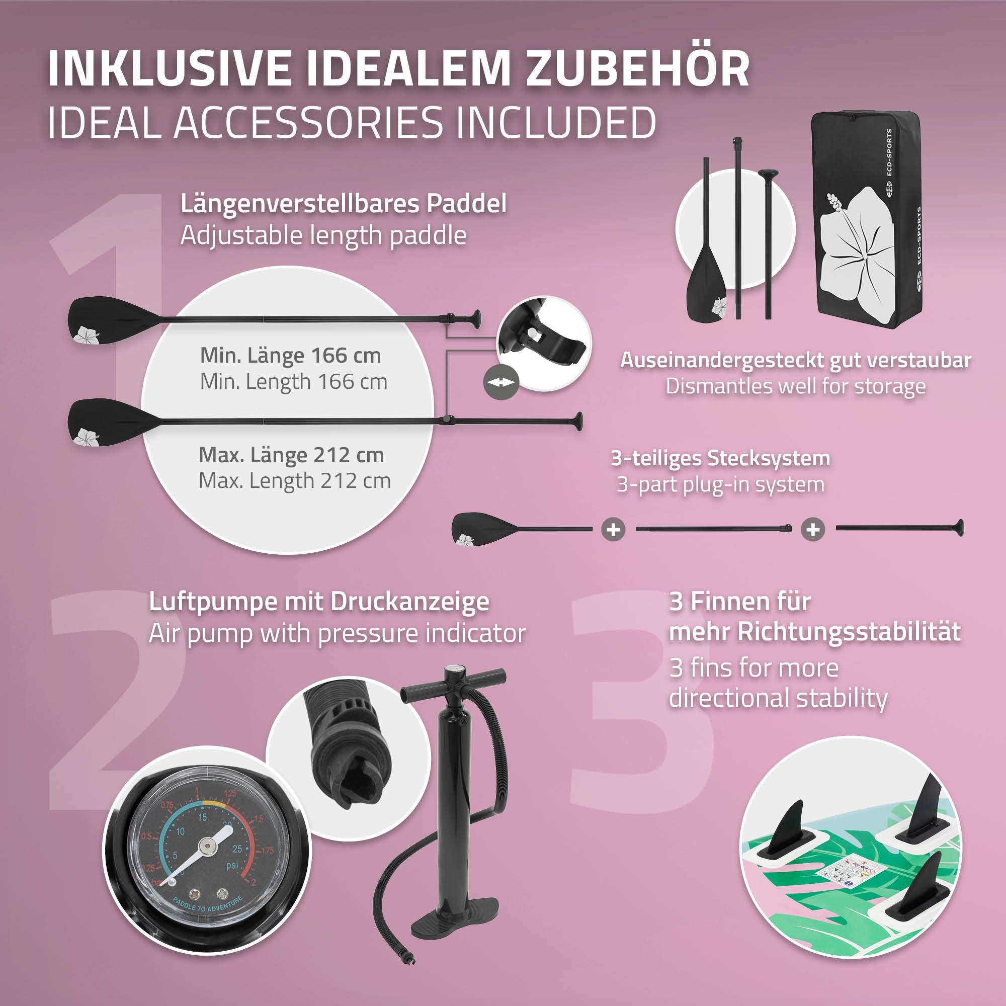 Grafica con accessori per Stand-Up-Paddle-Board, inclusi pagaia e pompa.