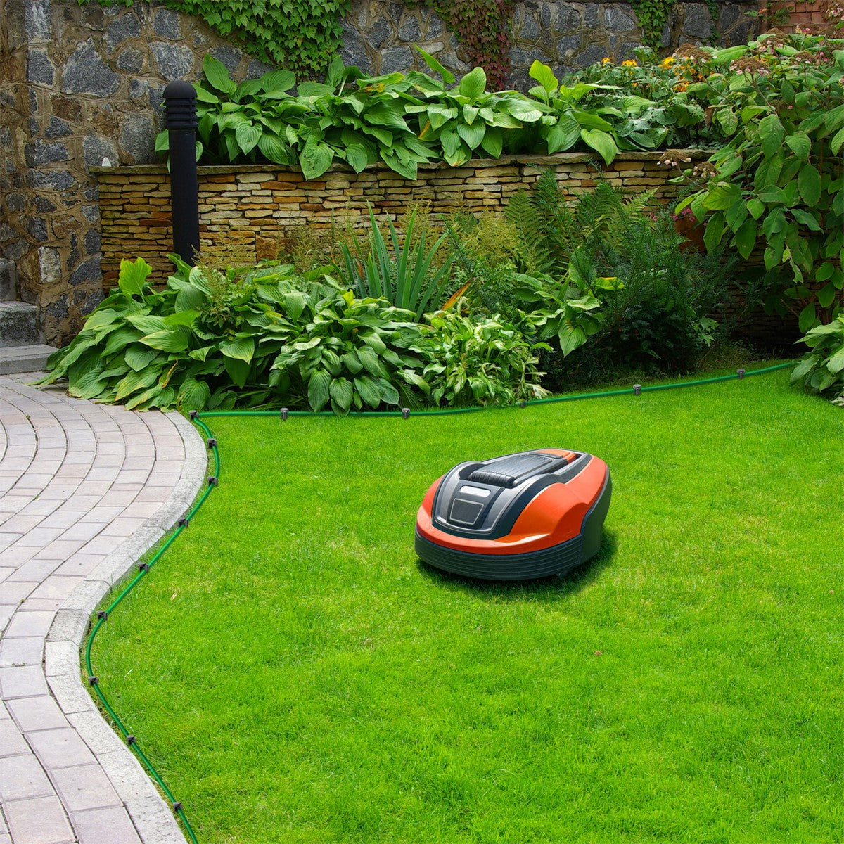Maa robot op groen gras, omringd door planten en een pad.