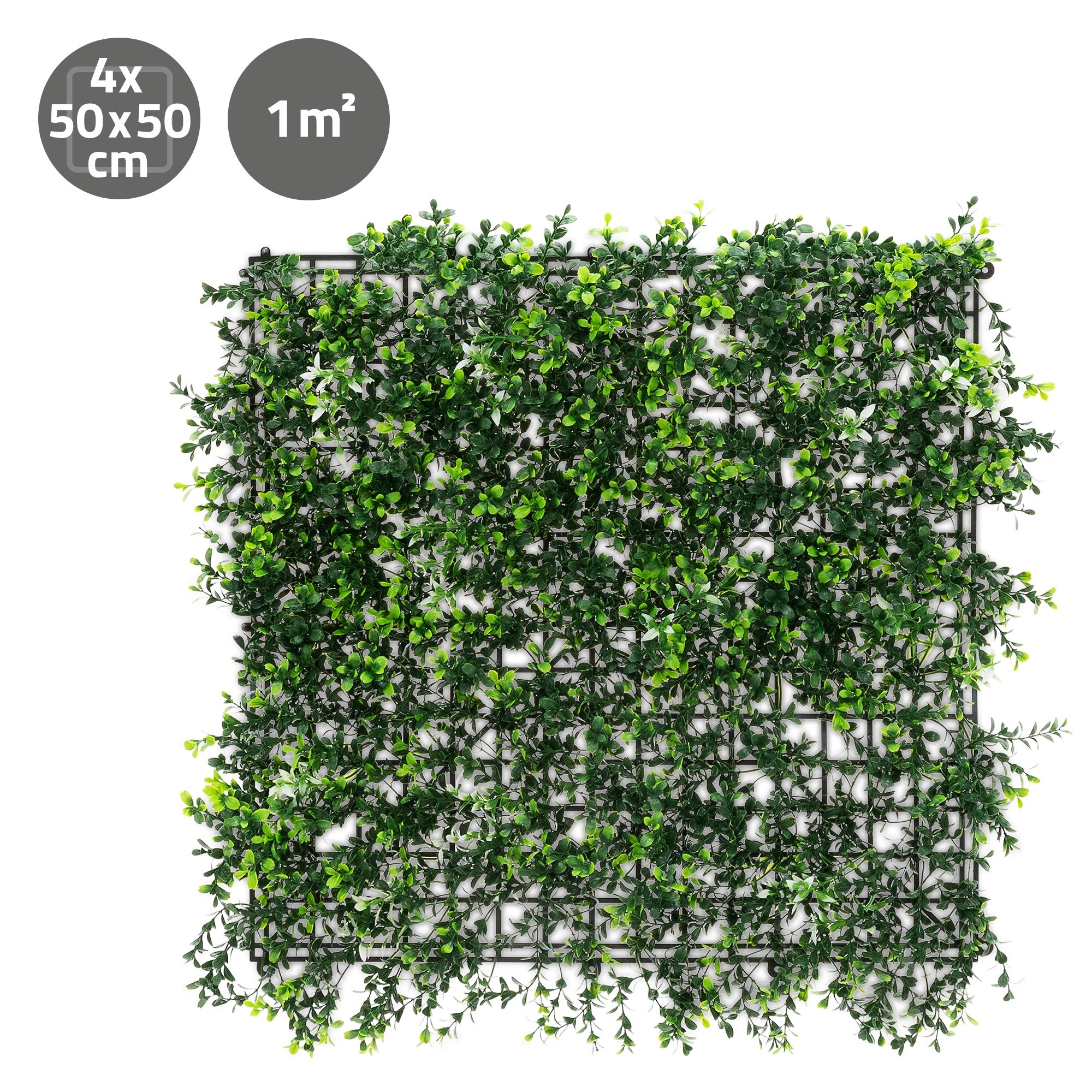 Revêtement mural carré en plantes avec des dimensions de 50x50 cm.