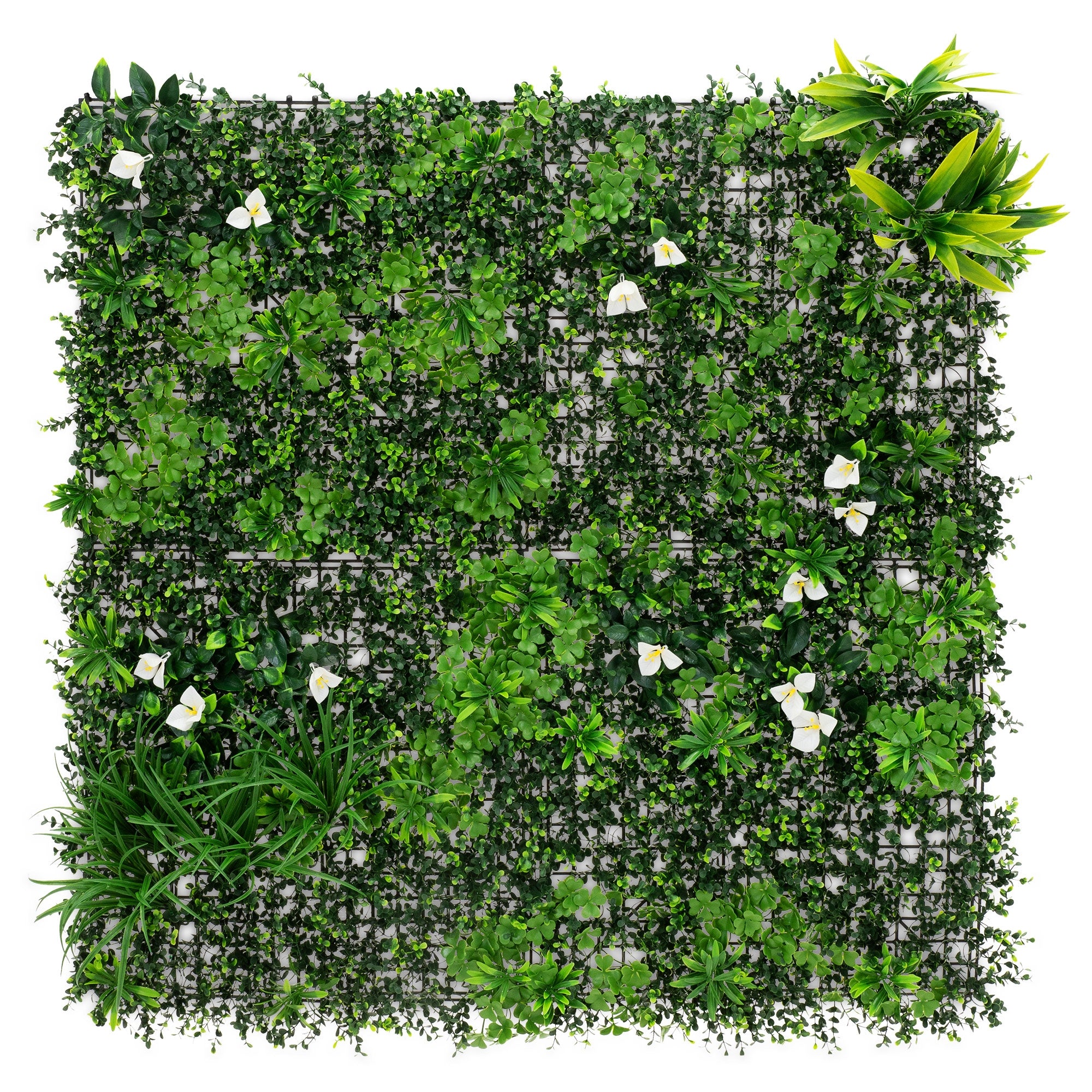 Mur vert avec différentes plantes et fleurs blanches, disposées en carré.