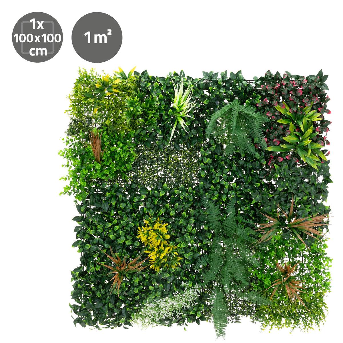 Mur de plantes artificielles avec différentes plantes vertes sur un carré de 1 m².