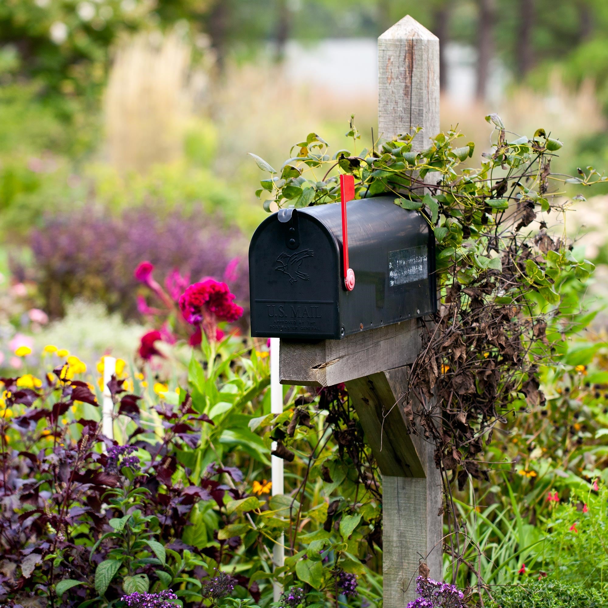 Buzón negro en un poste de madera, rodeado de flores.