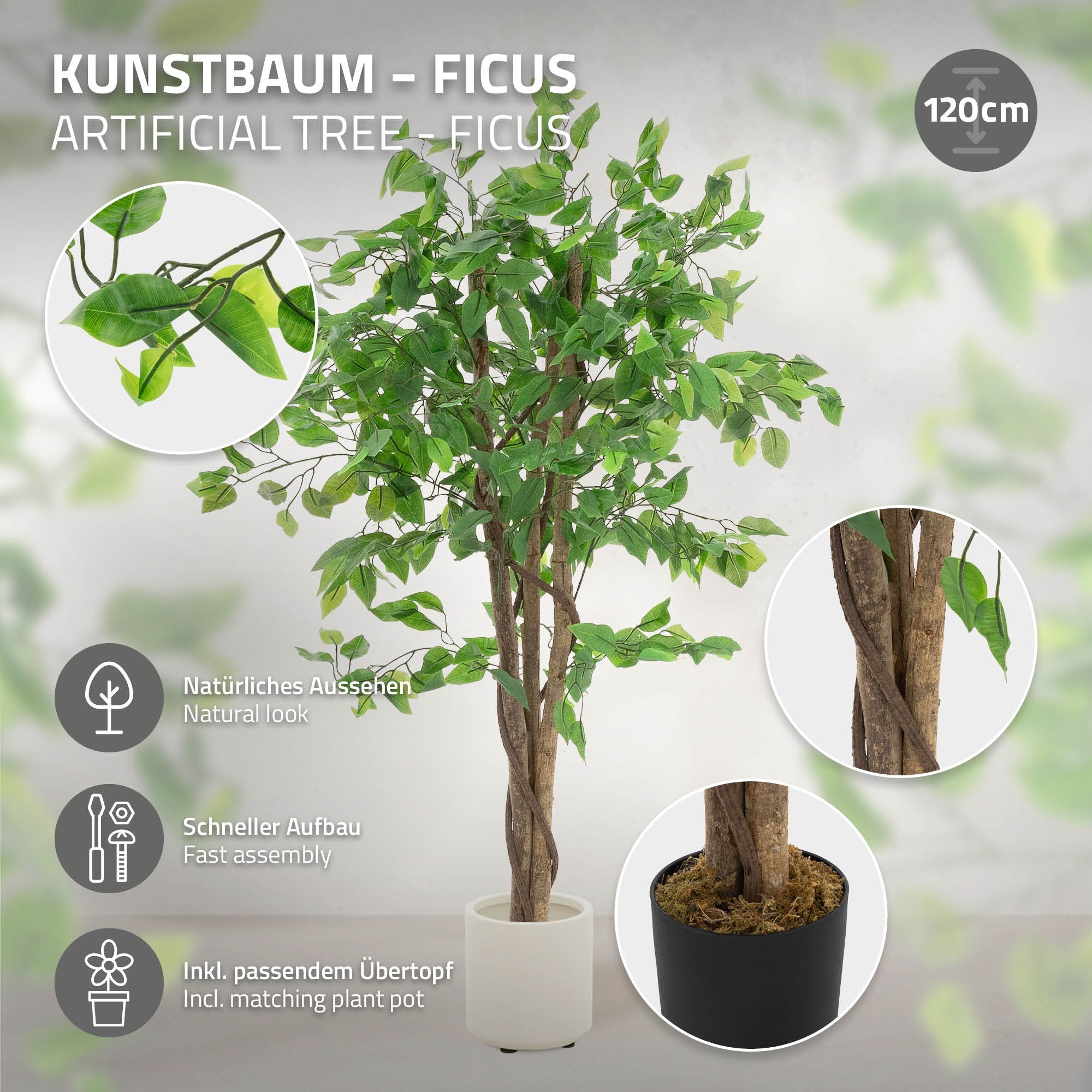 Taidepuu Ficus ruukussa, 120 cm korkea, vihreillä lehdillä.