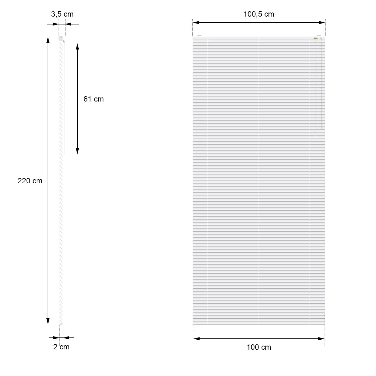 Rozměrový nákres žaluzie, šířka 100 cm a výška 220 cm.