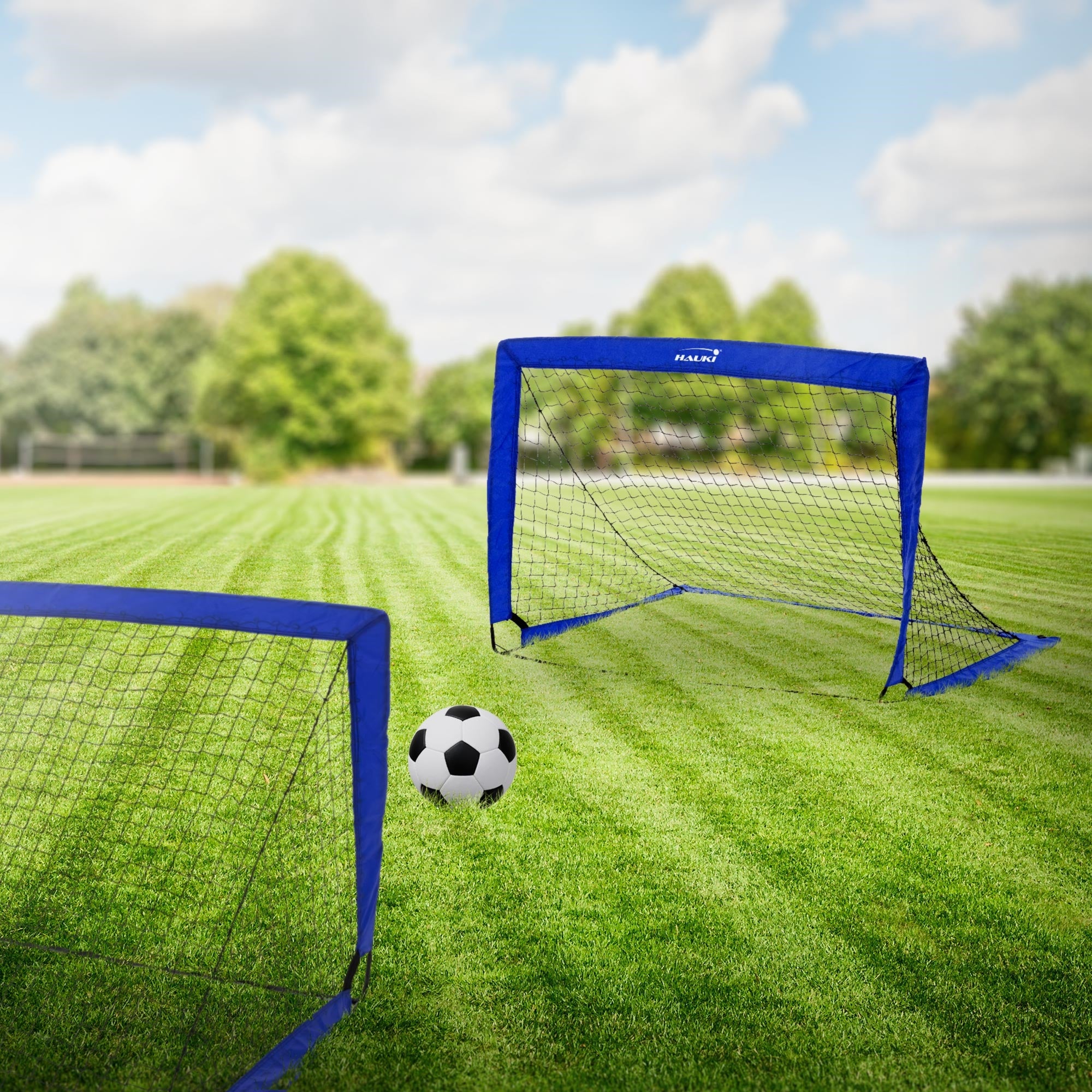 Twee voetbaldoelen op een grasveld met een bal.