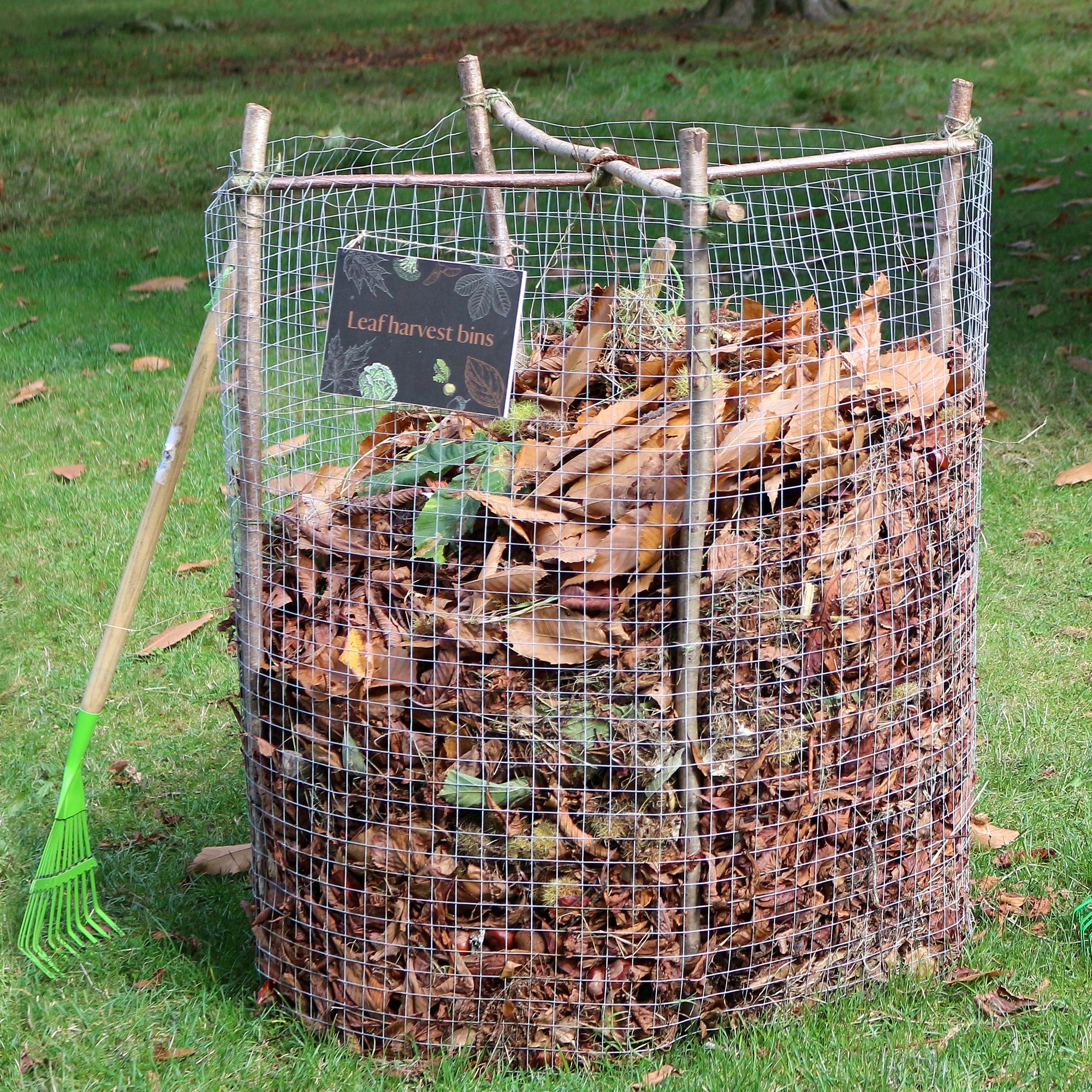 Contenedor de compost de alambre con hojas y un rastrillo al lado, sobre hierba verde.