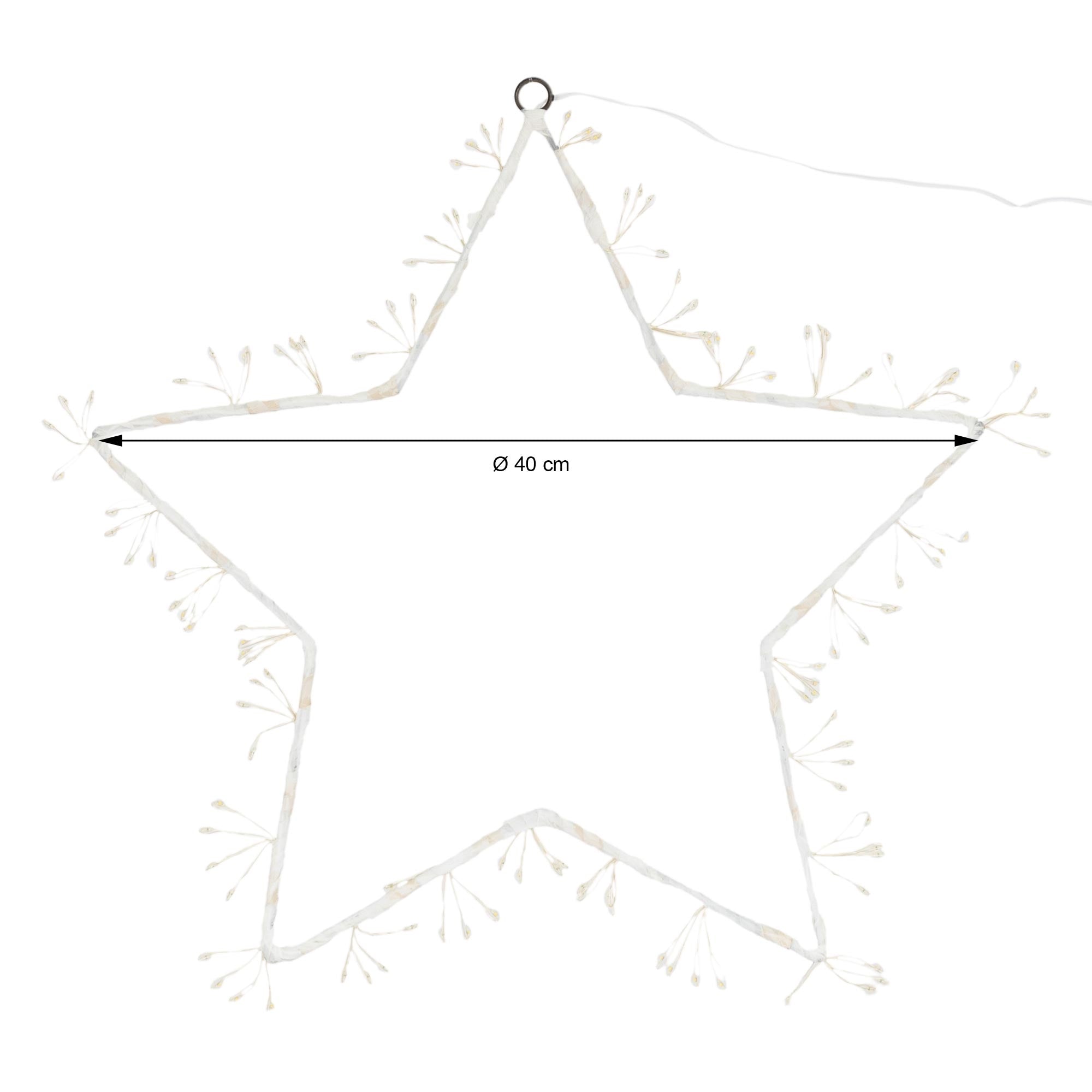 Une étoile blanche de 40 cm de diamètre, entourée de petites branches.