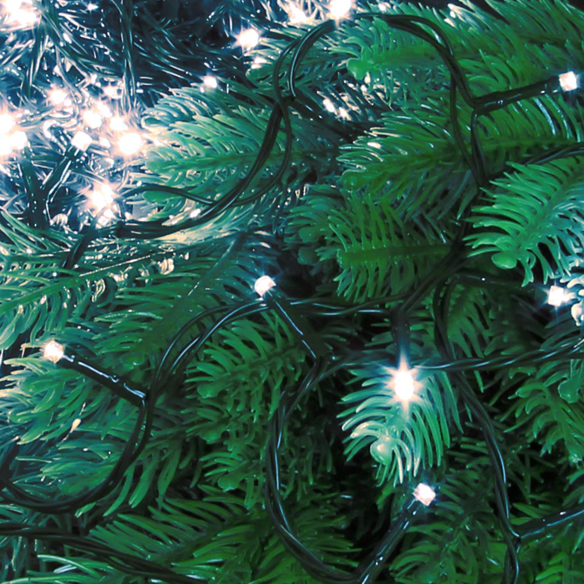 Nahaufnahme von grünen Tannenzweigen mit weißen Lichtern.