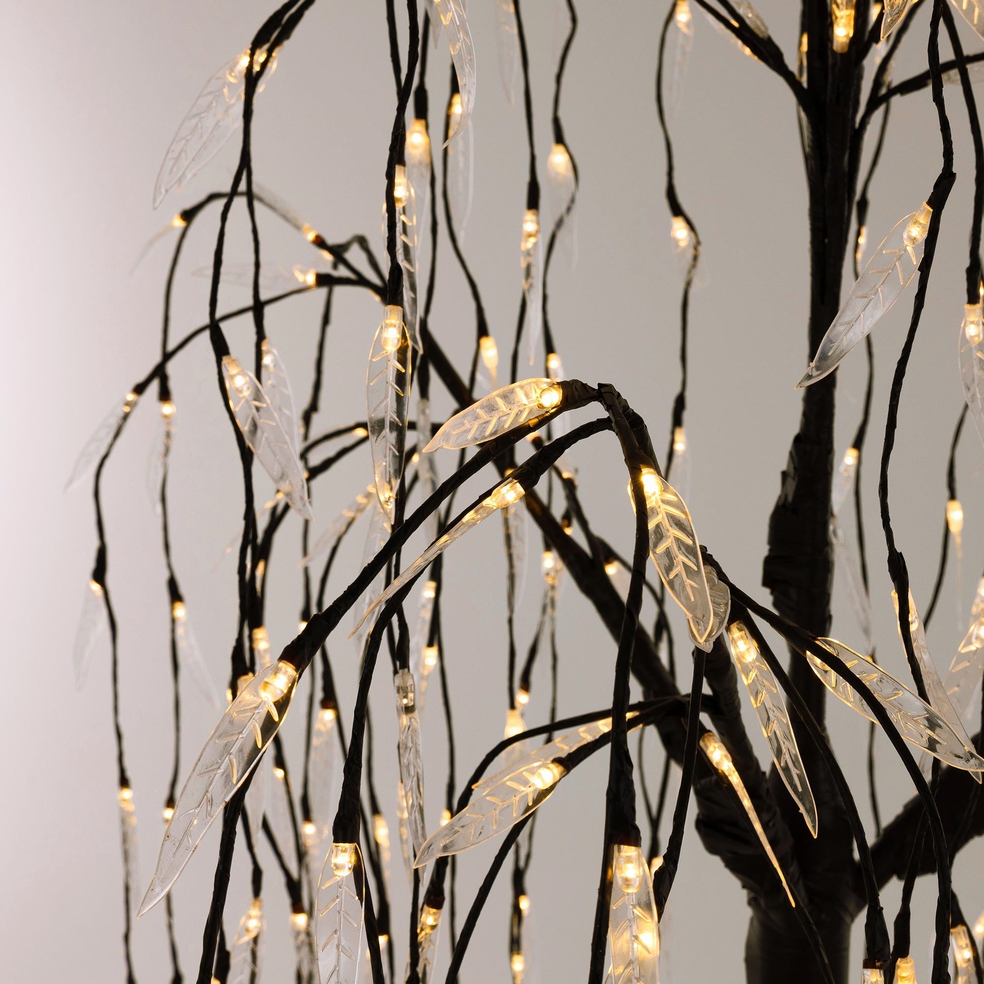 Primer plano de un árbol con luces colgantes y hojas transparentes.