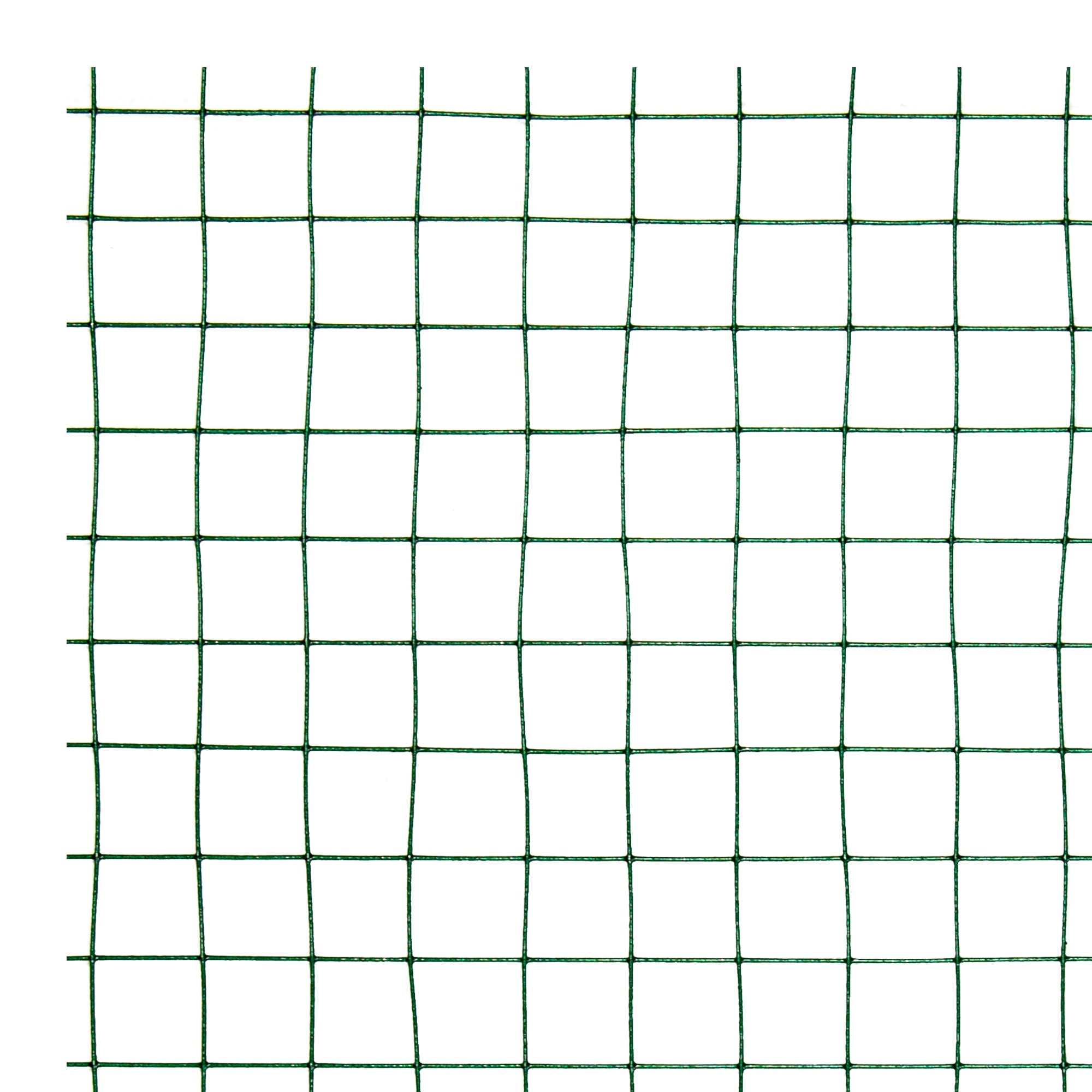 Grünes Drahtgitter mit quadratischen Maschen auf weißem Hintergrund.