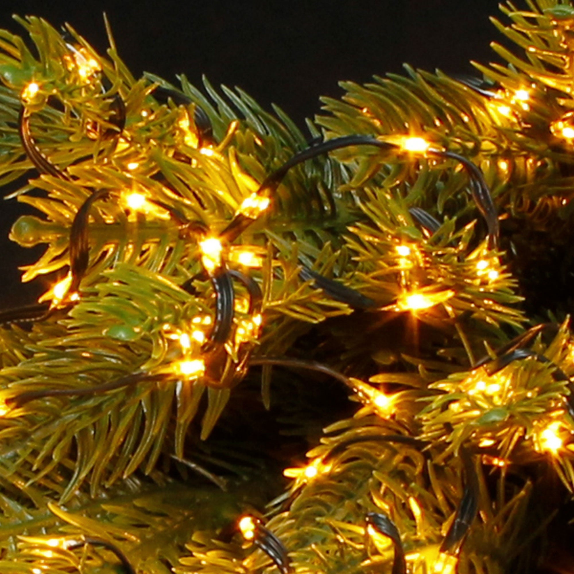 Primer plano de ramas de abeto verde con luces cálidas.
