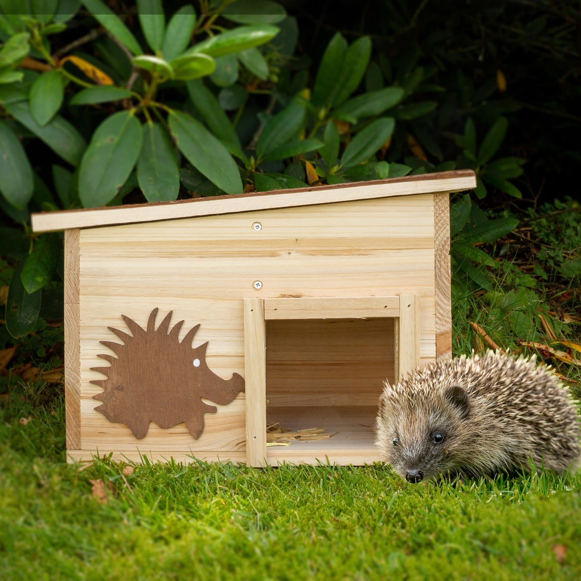 Holzhaus für Igel mit einem Igel davor, umgeben von Pflanzen im Garten.