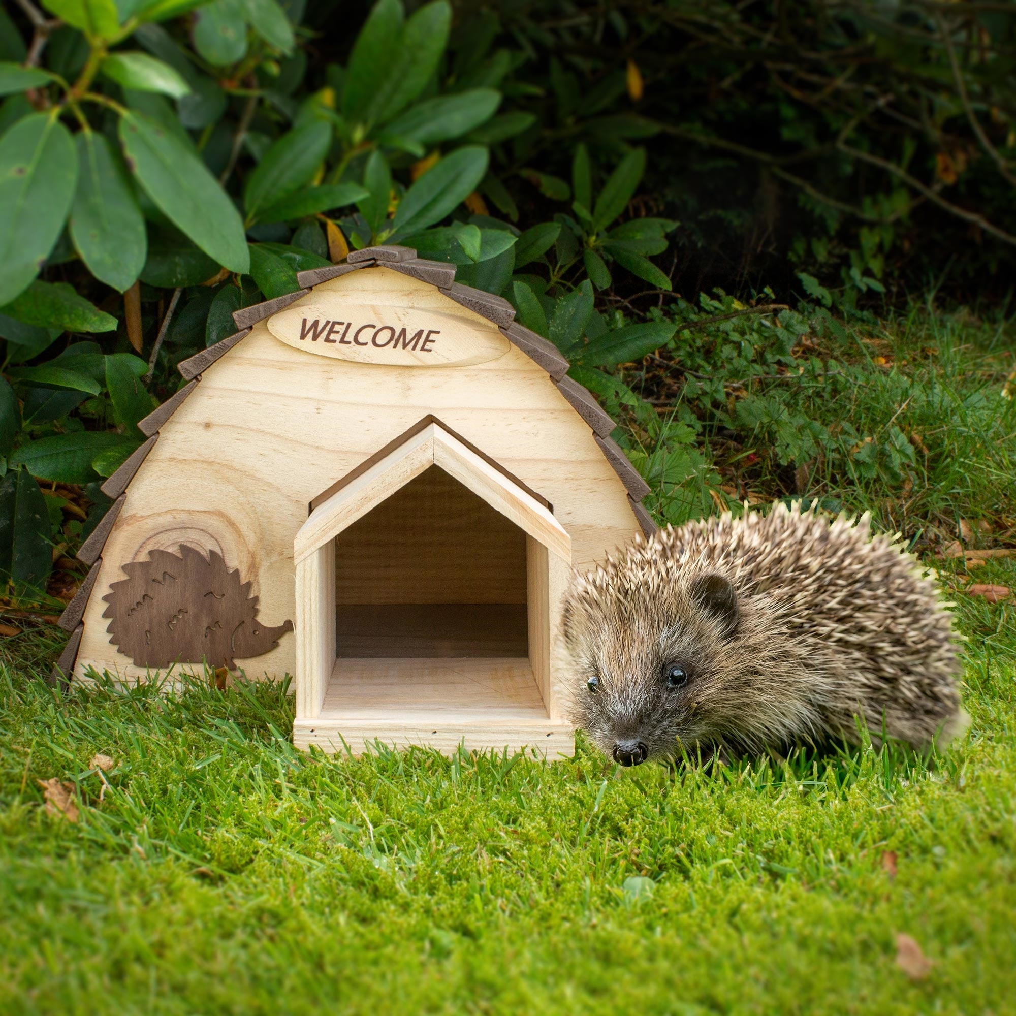 Hérisson devant une maison en bois avec l'inscription 'WELCOME' dans le jardin.