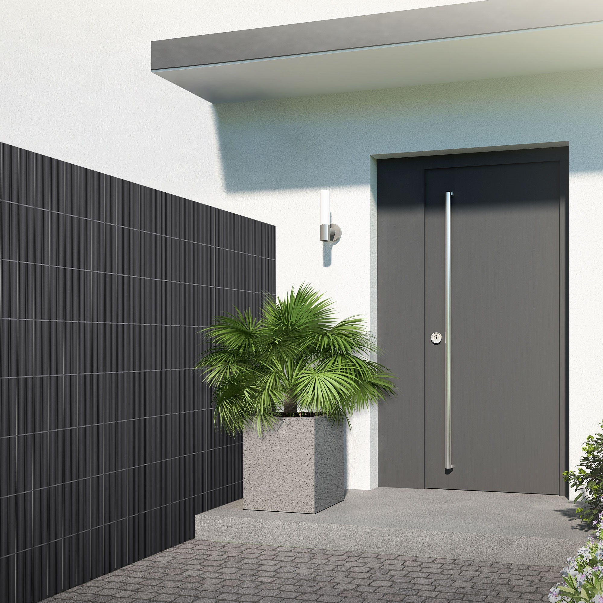 Eingangsbereich mit grauer Tür, Pflanze und modernem Wanddesign.