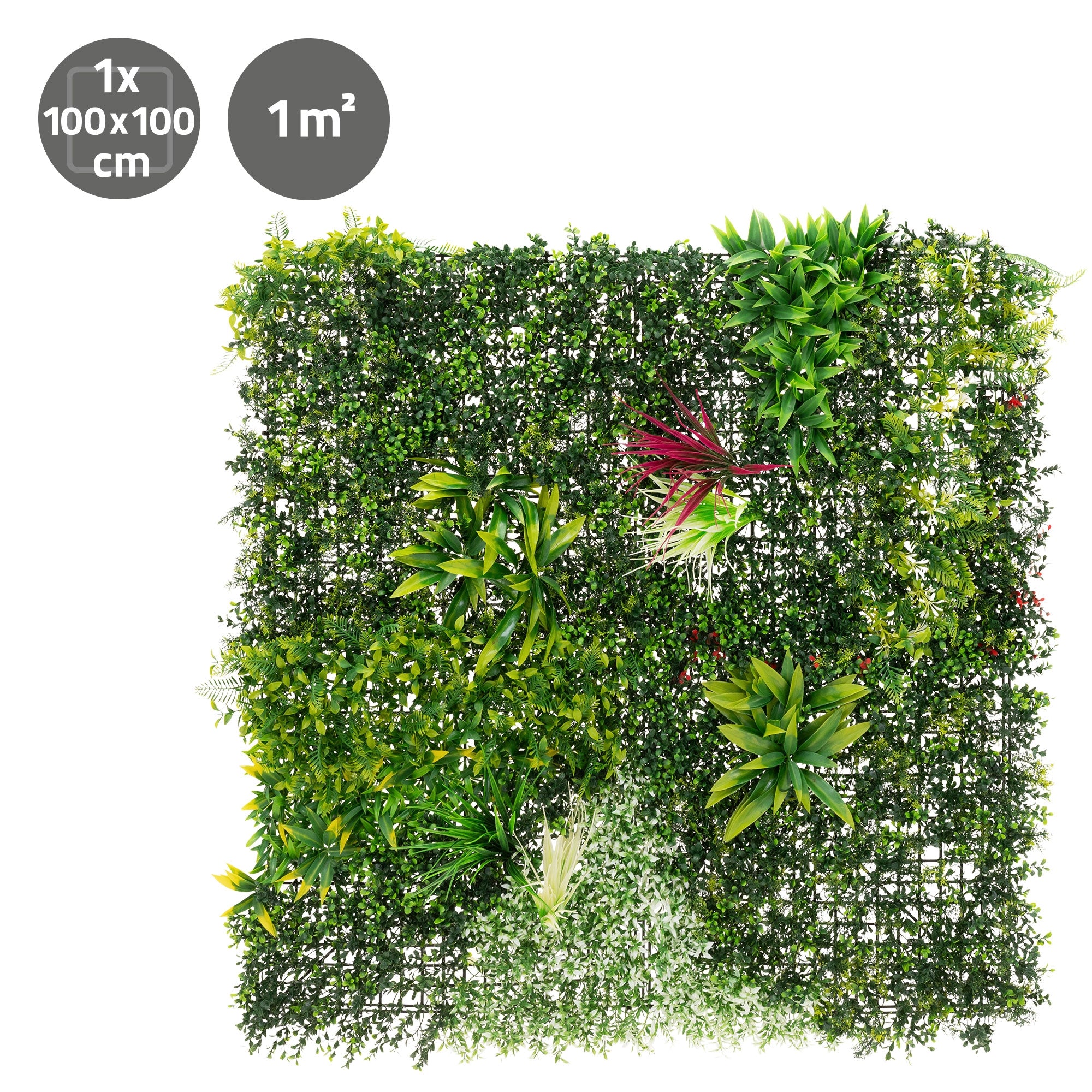 Mur vert avec différentes plantes, y compris des fleurs rouges et blanches sur une grille carrée.