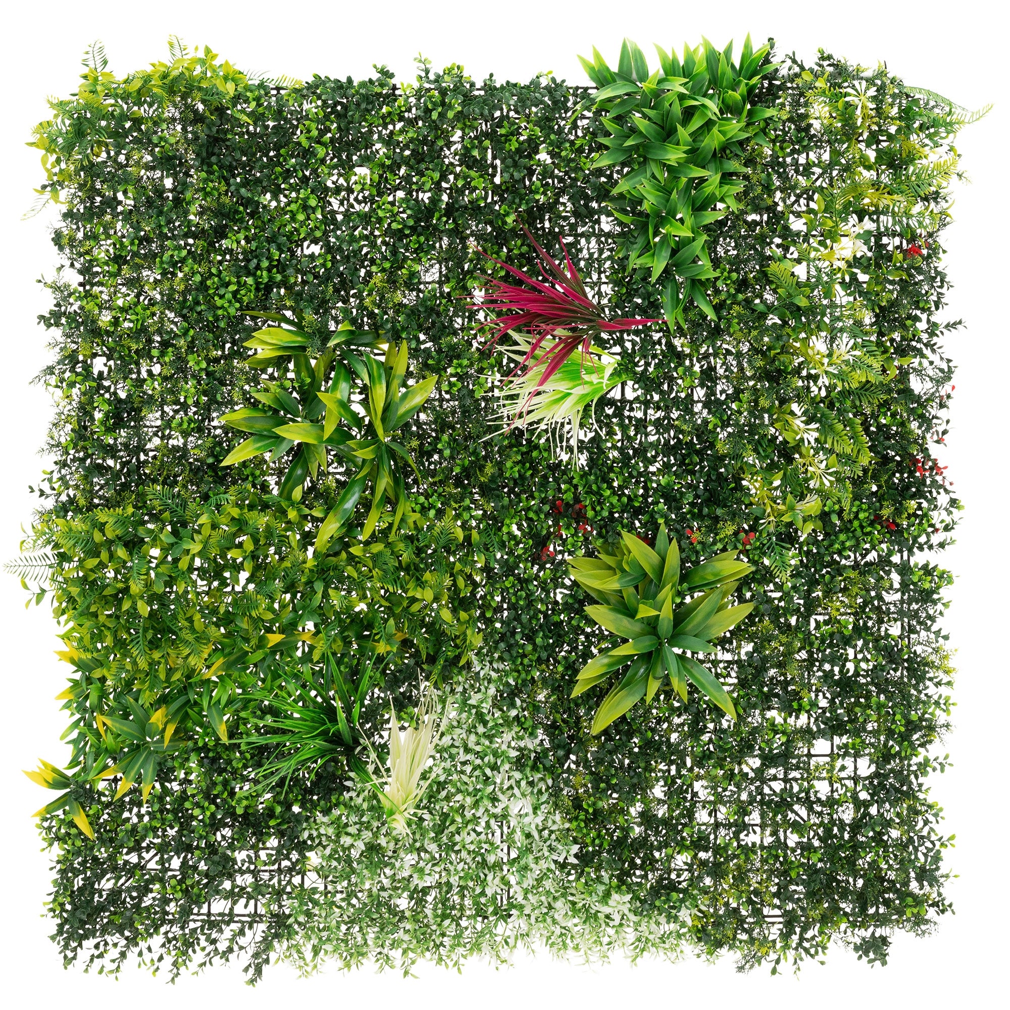 Décoration murale carrée composée de différentes plantes vertes sur fond blanc.