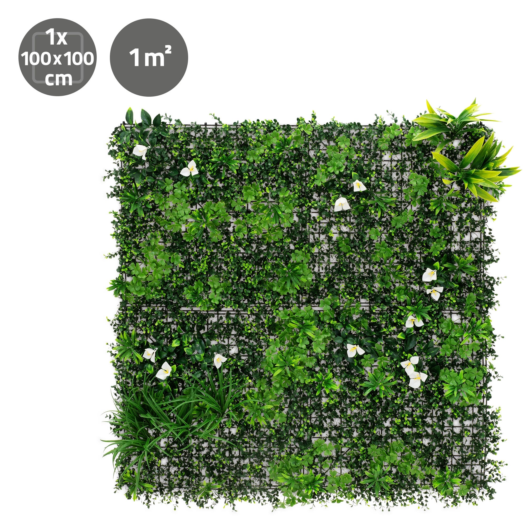 Mur vert avec différentes plantes et fleurs blanches sur un treillis carré.