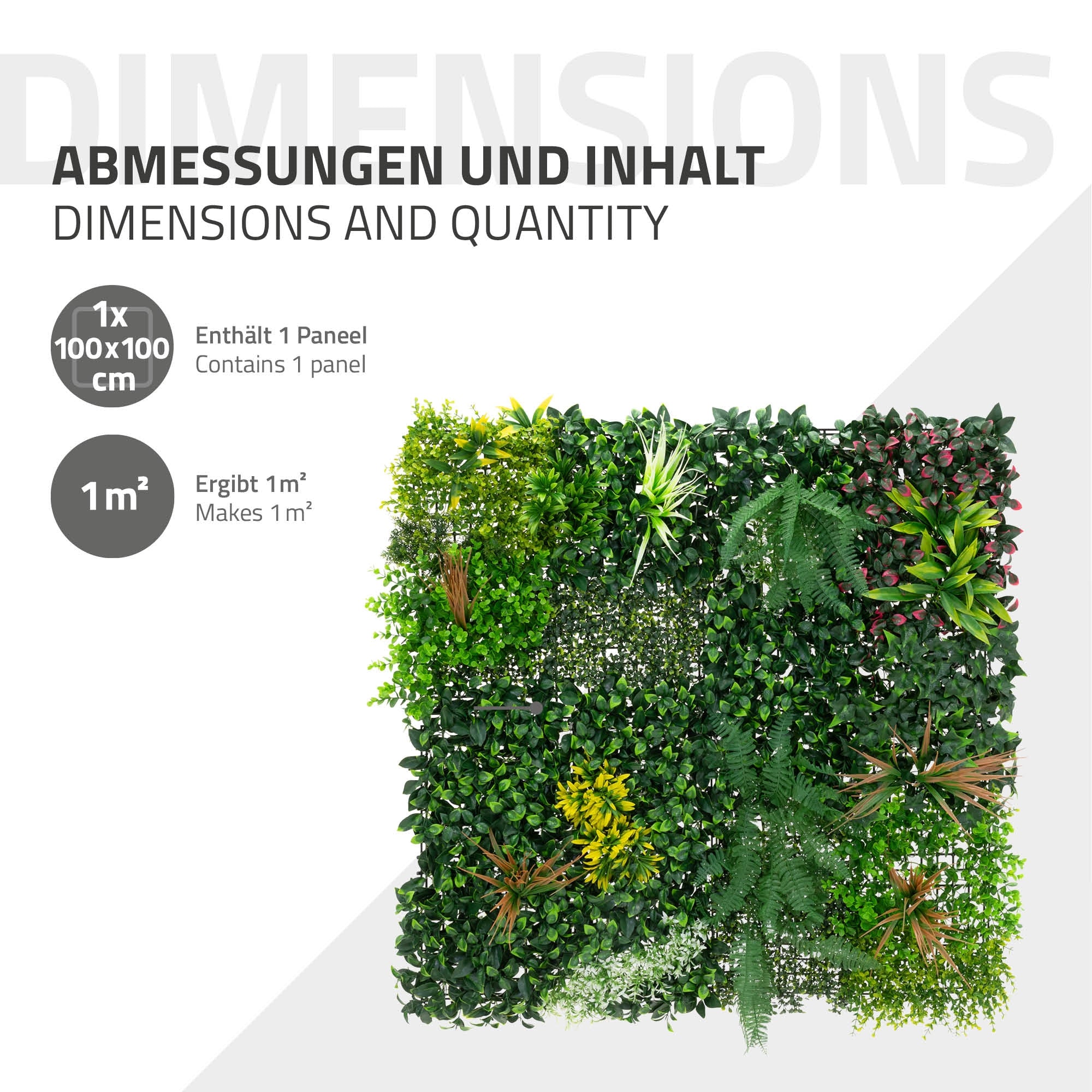 Mur vert avec différentes plantes, étiqueté avec des dimensions et du contenu.