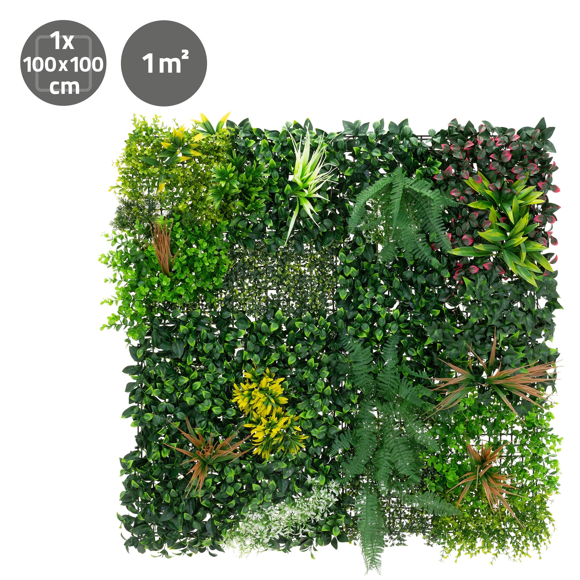 Mur de plantes artificielles avec différentes plantes vertes sur un carré de 1 m².