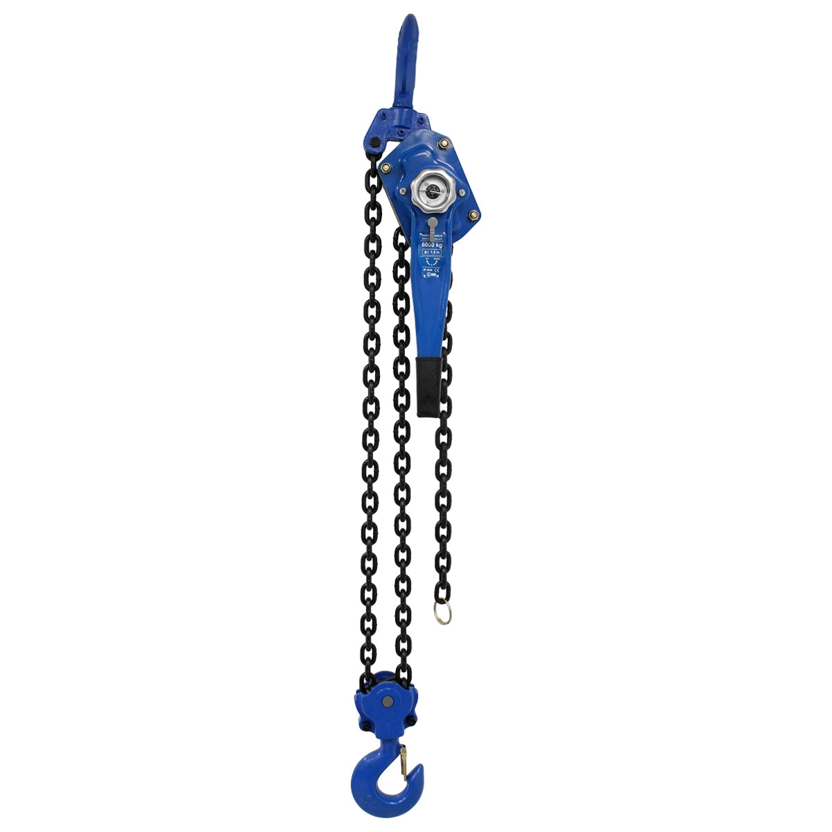 Blue chain hoist with hook and chain.