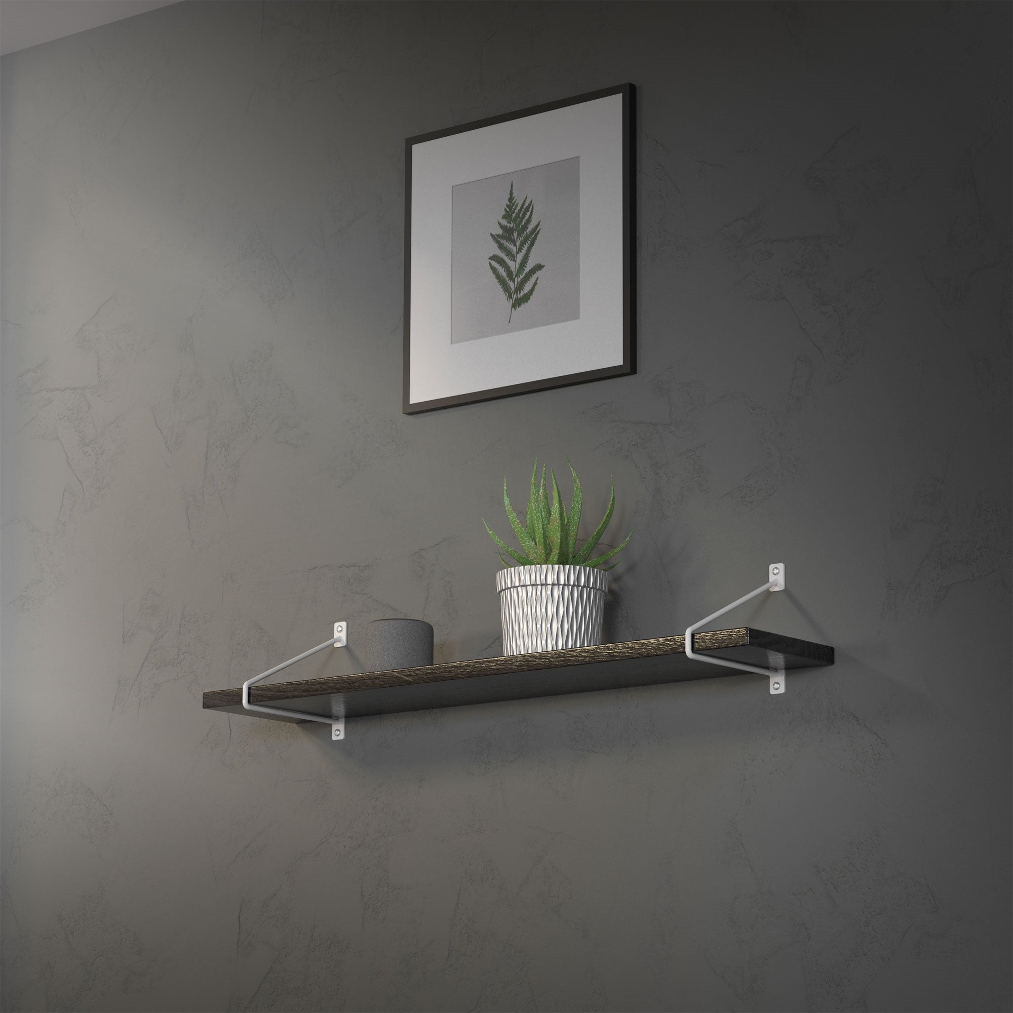 Support d'étagère avec des plantes sur une étagère en bois contre un mur gris.