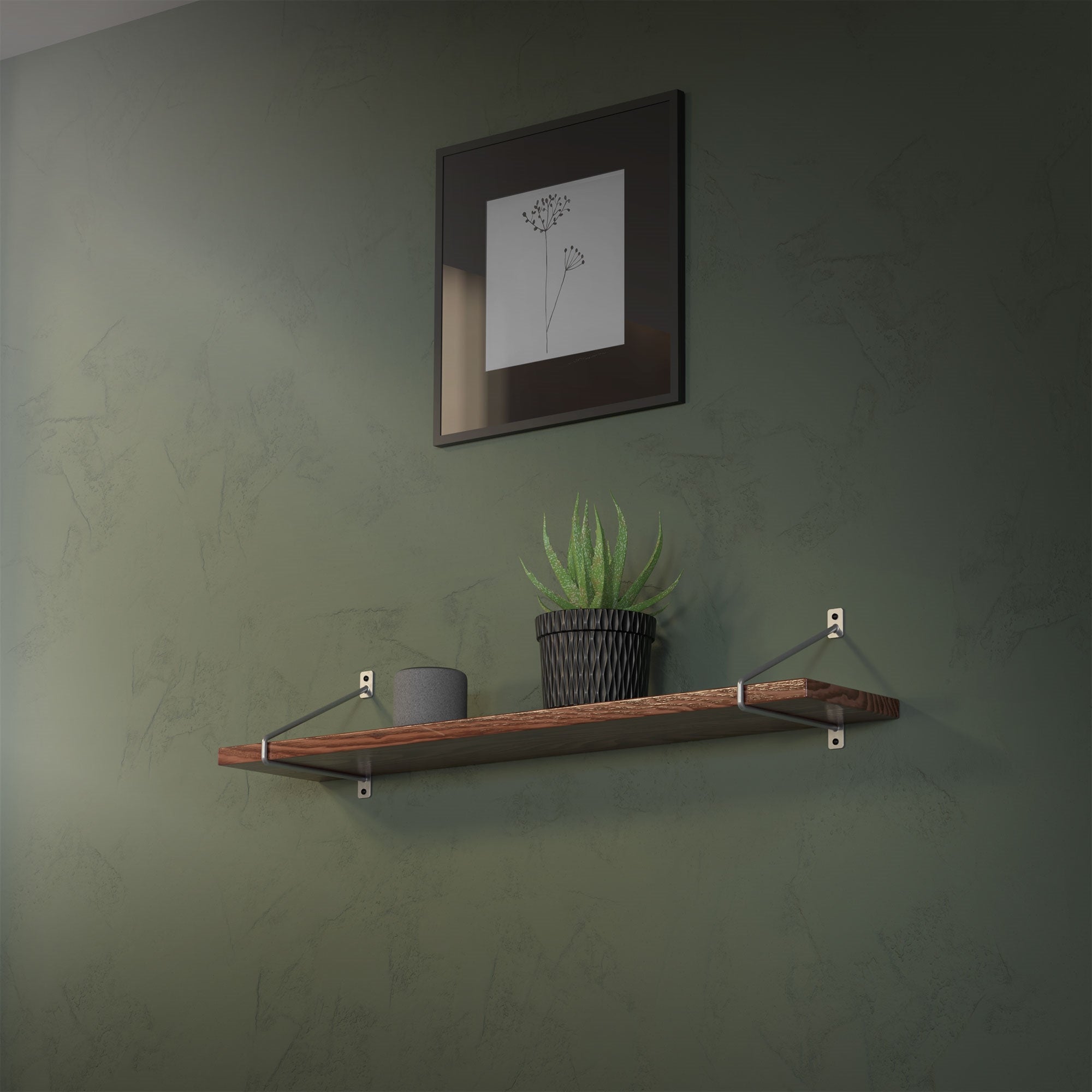 Shelf with plants and a picture on a green wall.