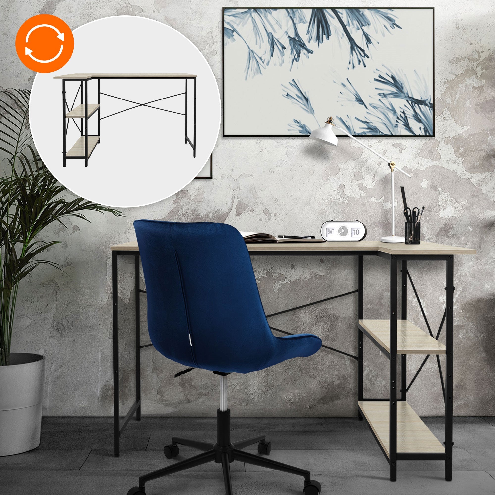 Desk with blue chair, plants, and pictures on the wall.