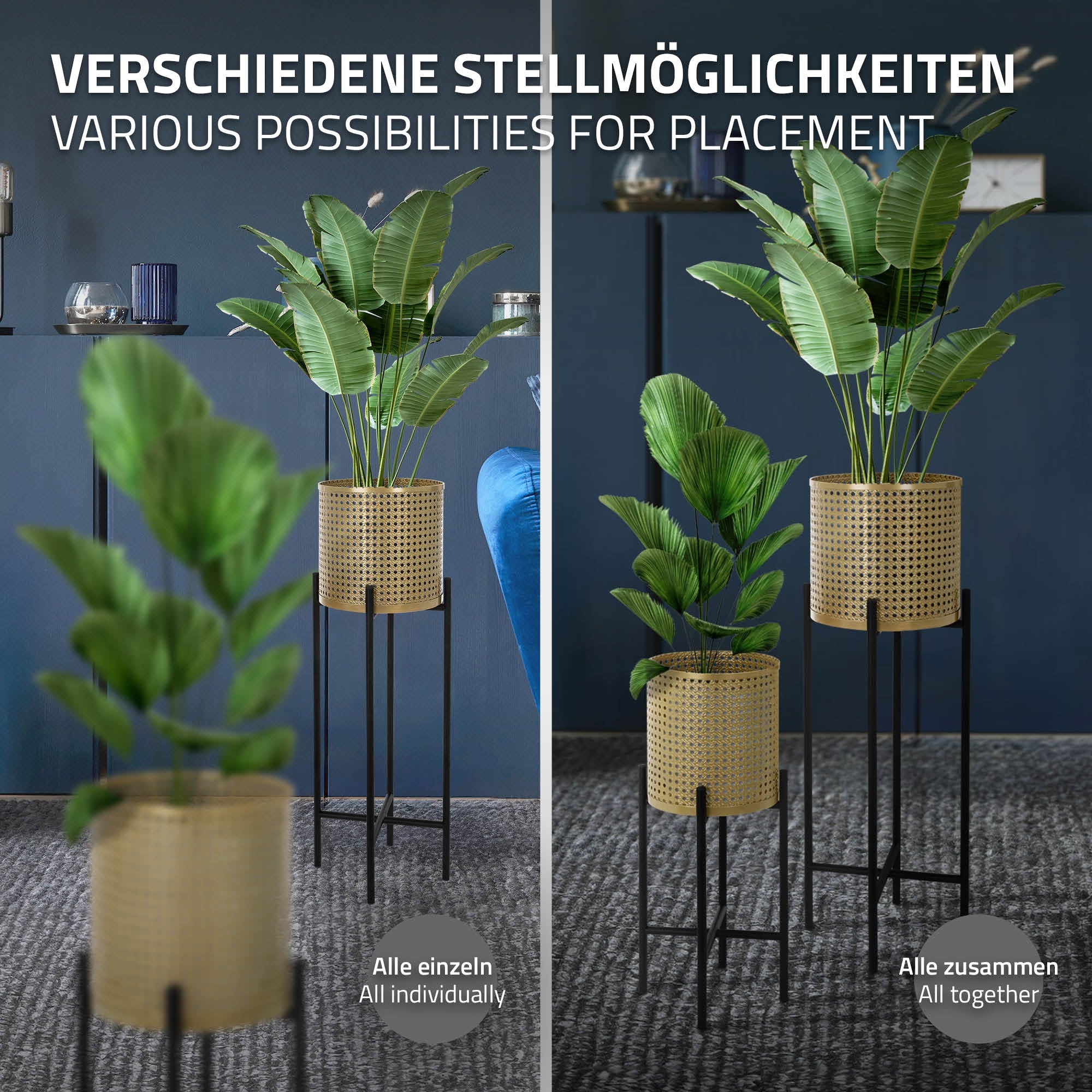 Zwei Pflanzenständer mit Pflanzen, einer links und einer rechts, vor einer blauen Wand.
