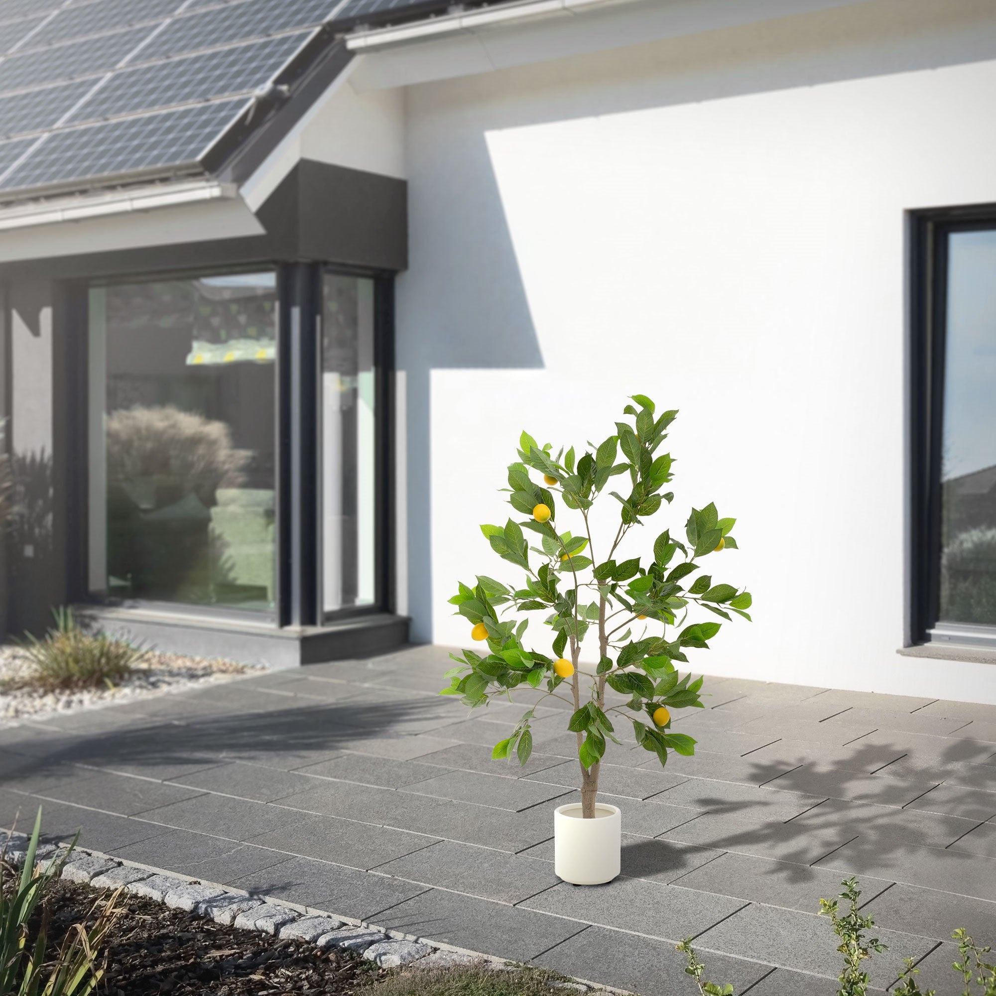 Plante artificielle dans un pot se trouve sur un trottoir devant une maison moderne.
