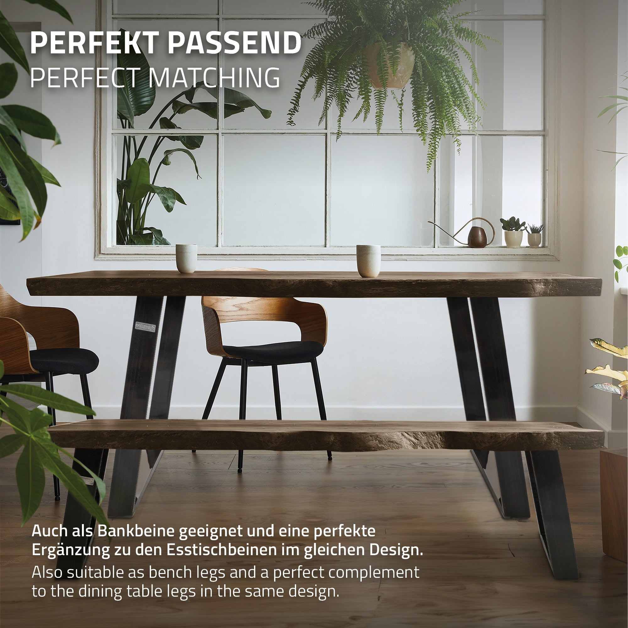 A dining table with matching bench legs, plants in the background.