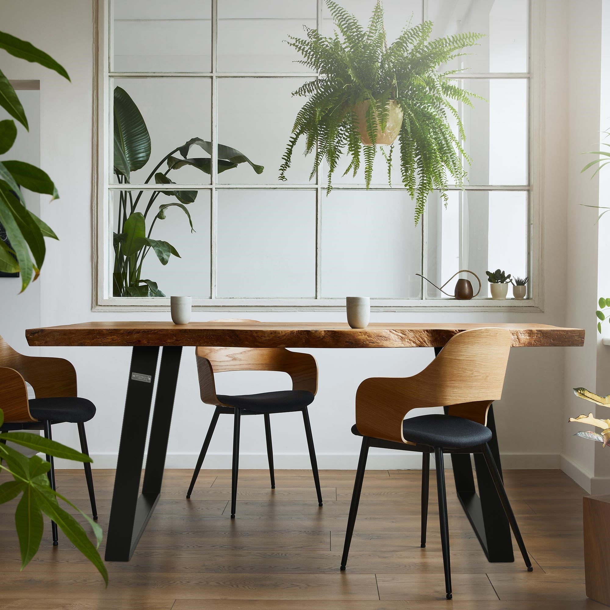 Et moderne spisebord i træ med sorte stolben og planter i baggrunden.