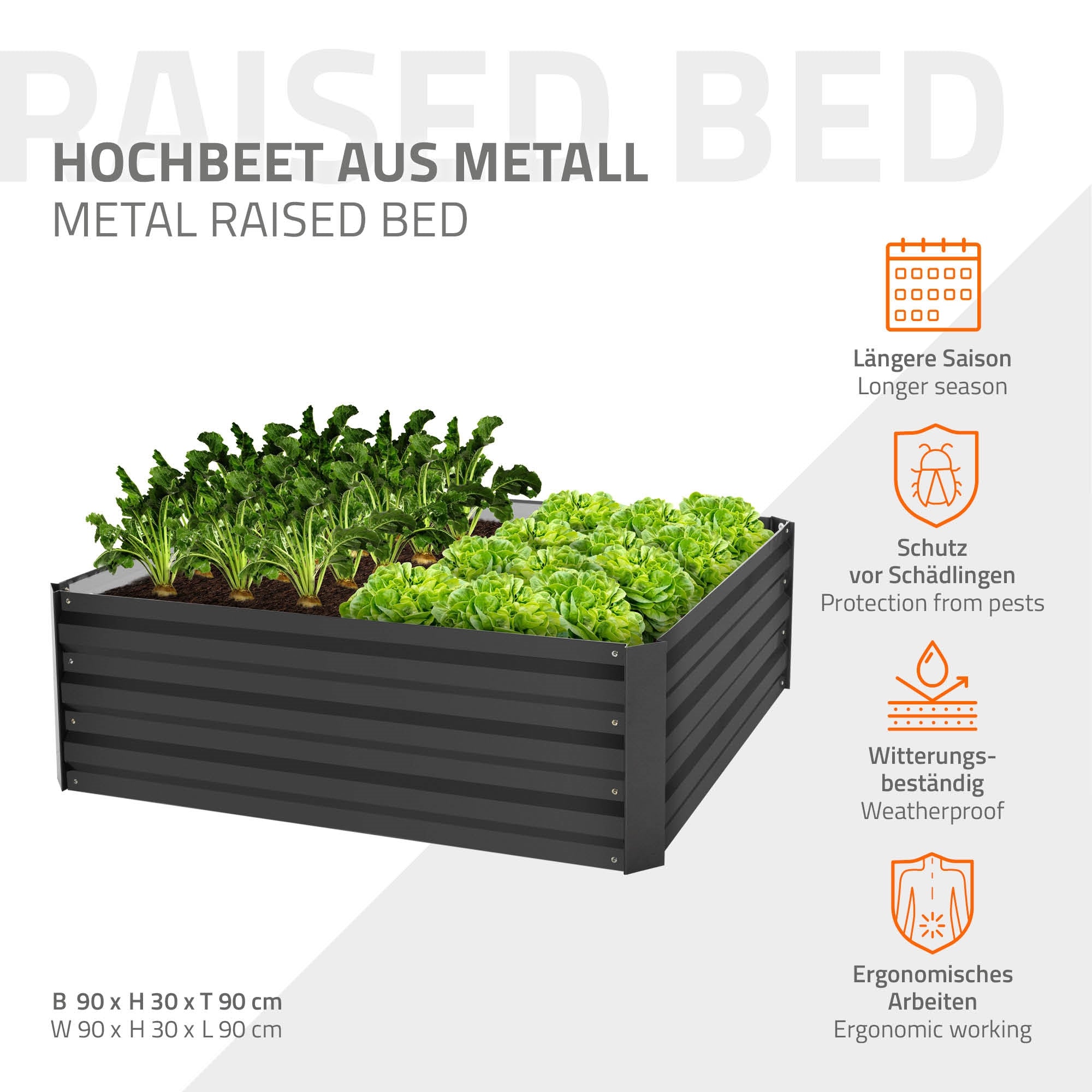 Metallisches Hochbeet mit Gemüse und Maßen.