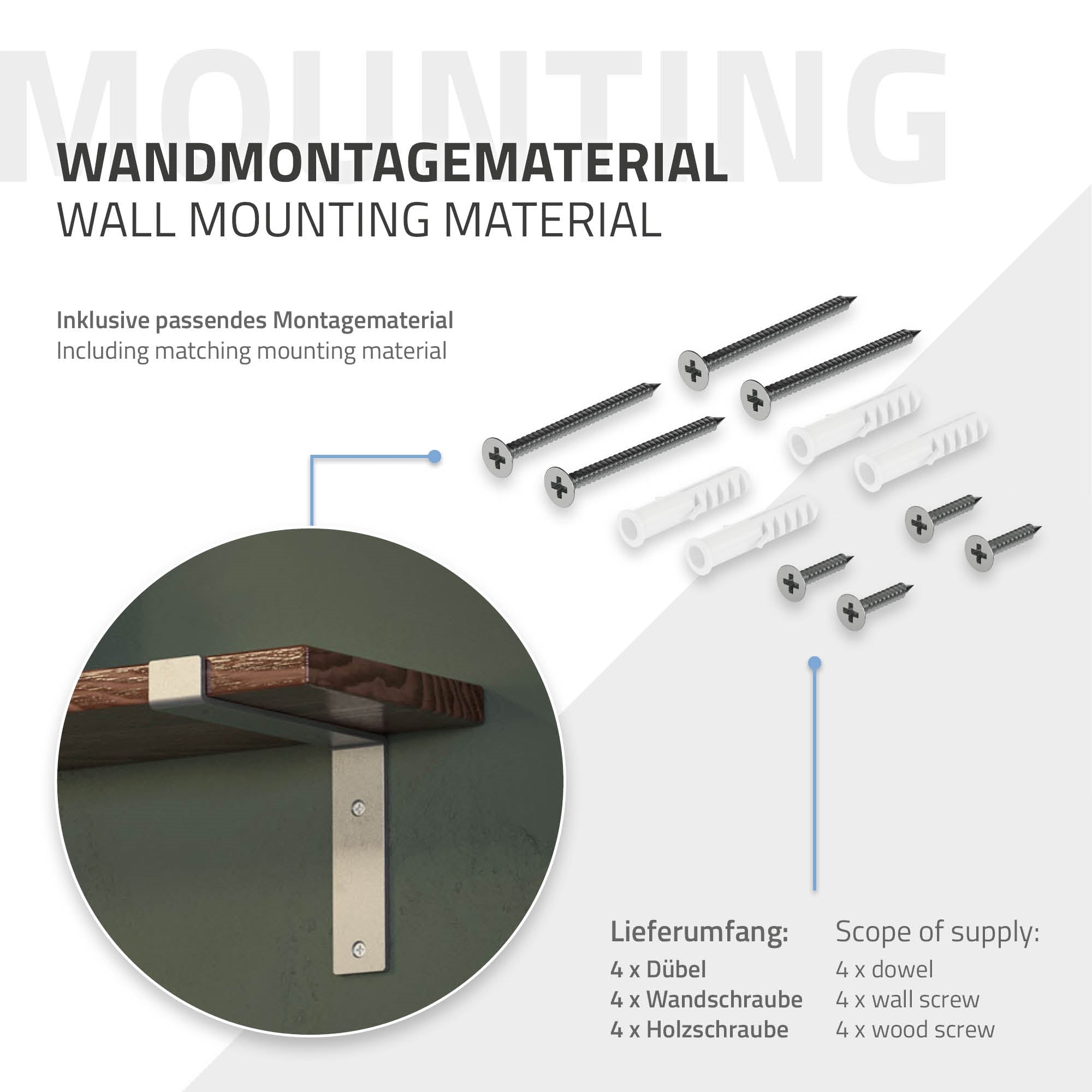Montagematerial für Wandregal mit Schrauben und Dübel auf hellem Hintergrund.