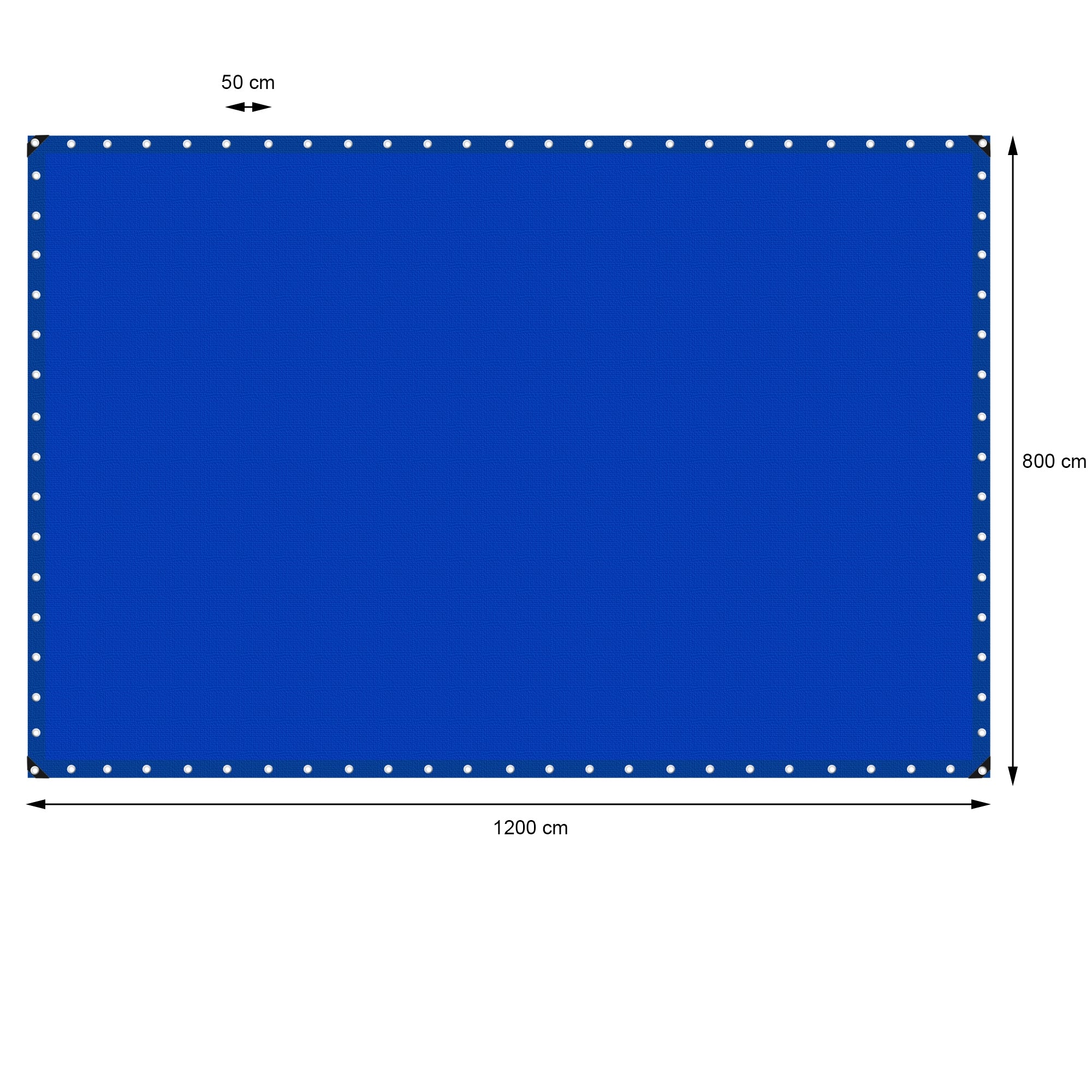 Telo blu con dimensioni 1200 cm x 800 cm, con occhielli ai bordi.