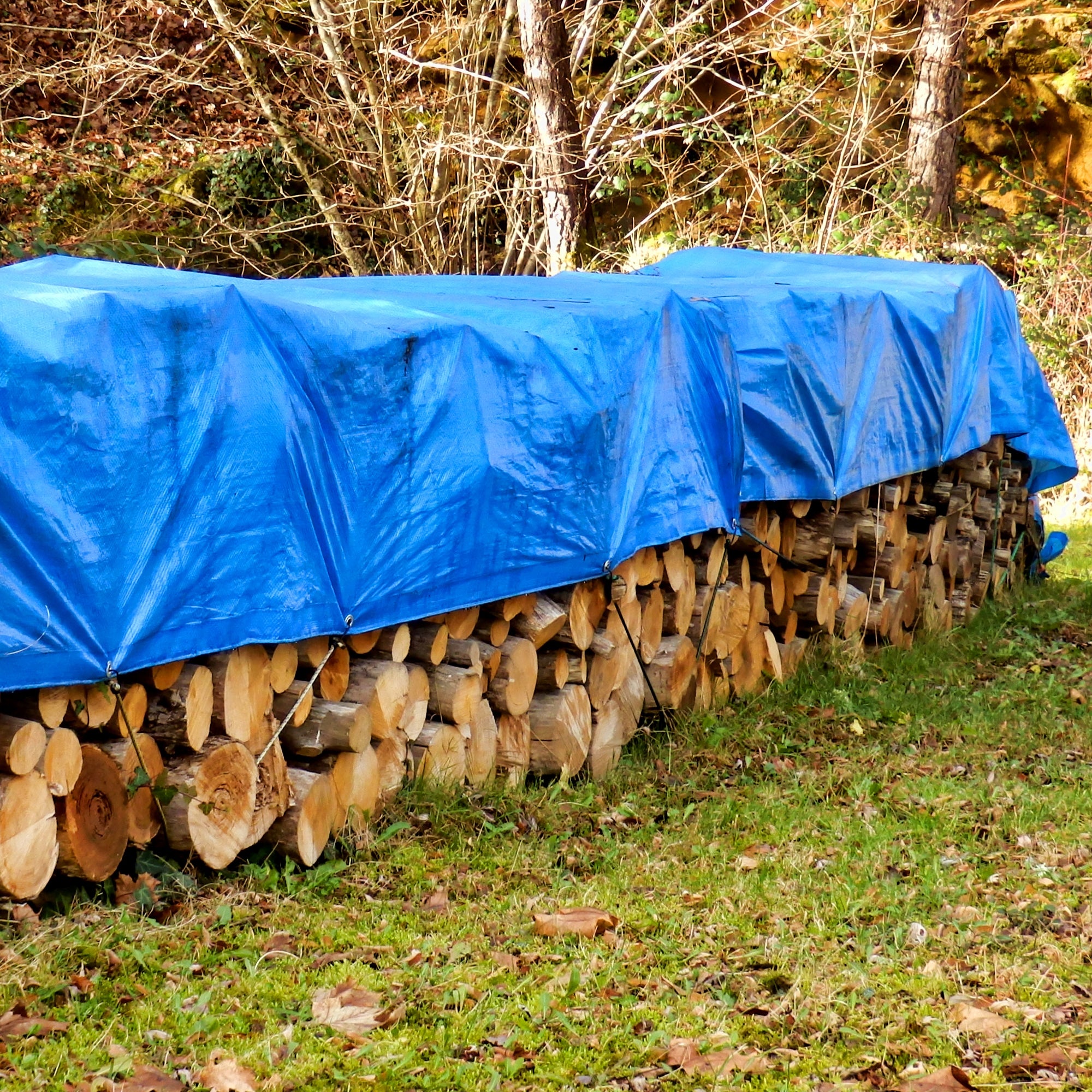 Un montón de madera, cubierto con una lona azul, en un prado.